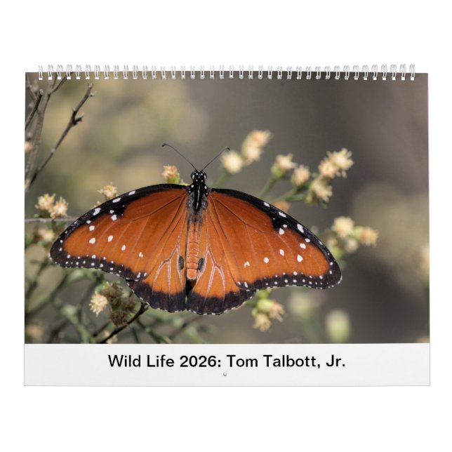 Wild Life 2026 Calendar Kalender (Omslag)
