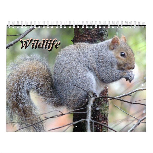 Wild Life Calendar Kalender (Omslag)