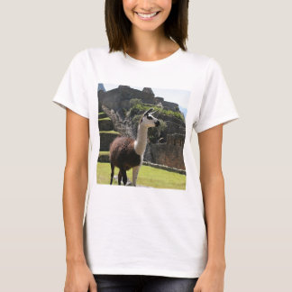Wild Llama Near Ruins T Shirt