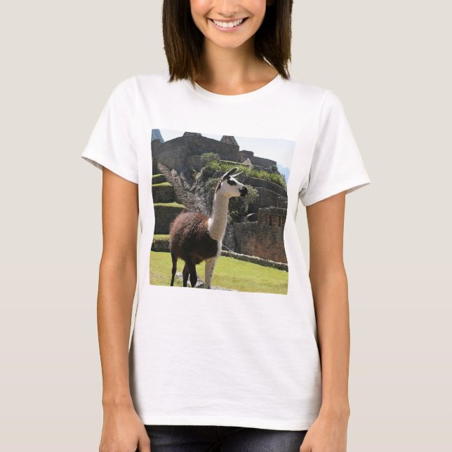 Wild Llama Near Ruins T Shirt (Framsida)
