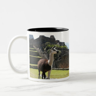 Wild Llama Near Ruins Två-Tonad Mugg