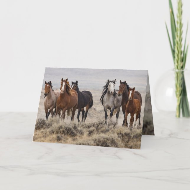 "Wild Mares and Foal on the Move" Inbjudan (Framsida)