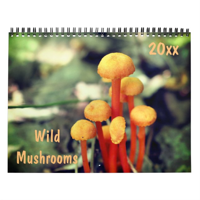 Wild Mushrooms Photography  Kalender (Omslag)