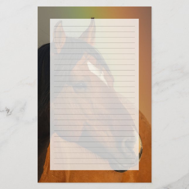 Wild Stallion, Golden Light and Rainbow Brevpapper (Framsida)