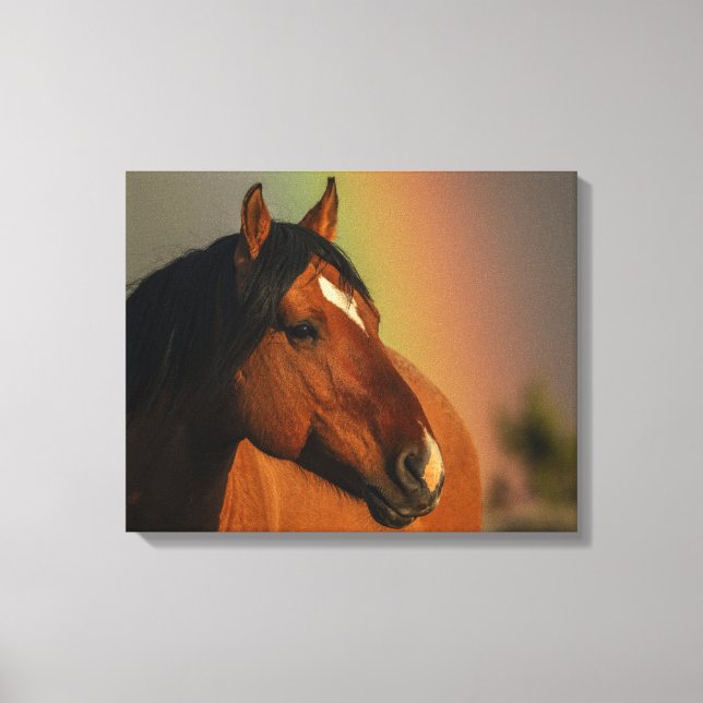 Wild Stallion, Golden Light and Rainbow Canvastryck (Framsida)
