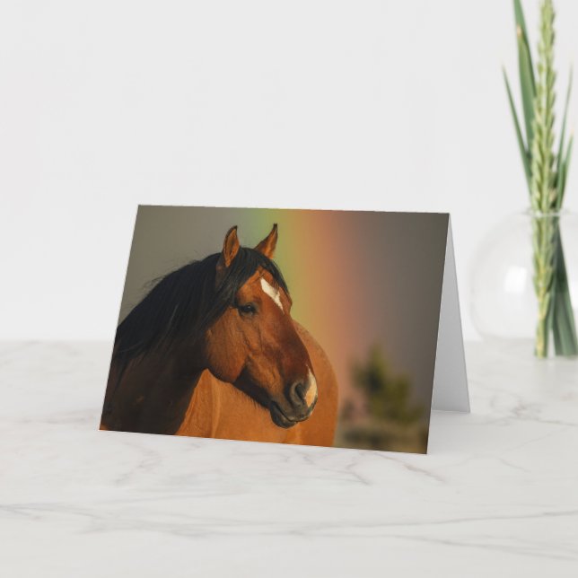 Wild Stallion, Golden Light and Rainbow Kort (Framsida)