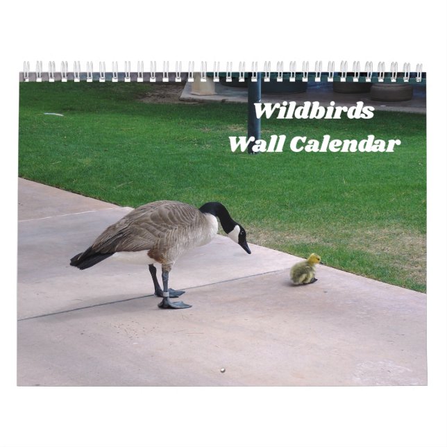 Wildbird Wall Calendar Kalender (Omslag)