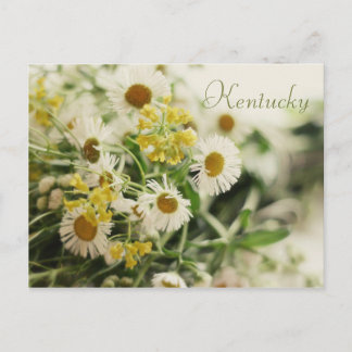 WildblomBouquet av JerseyFawn Vykort
