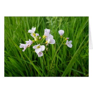 Wildblomdelight Hälsningskort