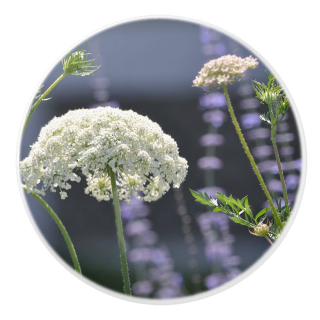 Wildblomkeramiskt Knob Knopp (Framsidan)