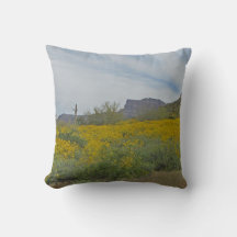 Wildblomma Arizona Desert Gult Flower Southwest