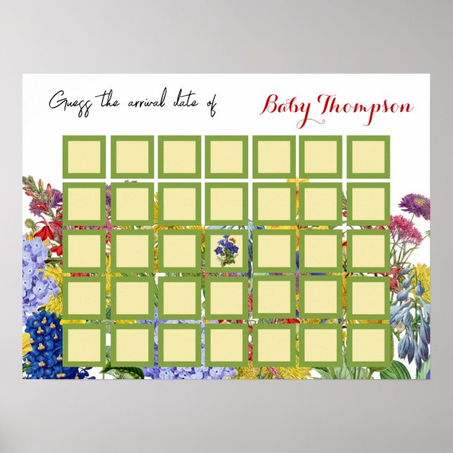 Wildblomma Blommigt Baby i bloom Game Shower Poster (Framsidan)