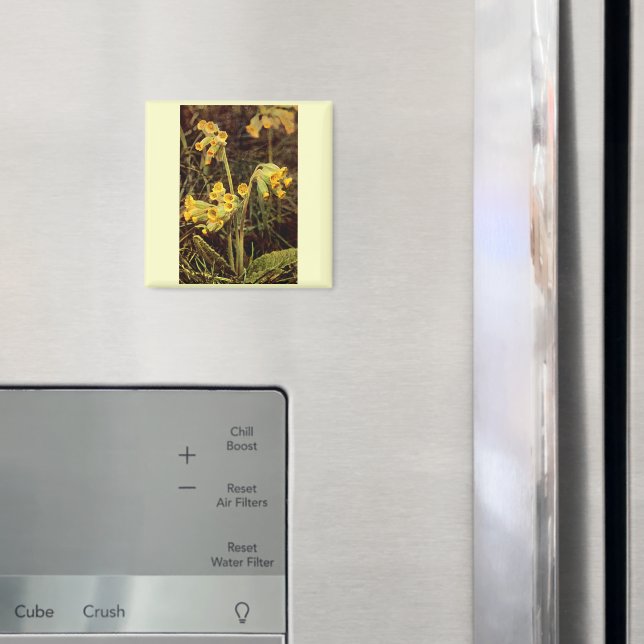Wildblomma: Cowgla Magnet (In Situ (Fridge))