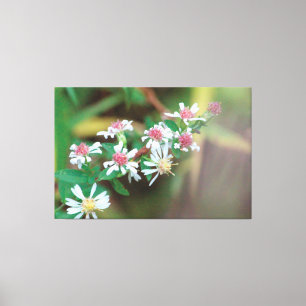 Wildblomma Extra Large Canvas
