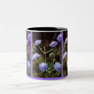 Wildblomma: Fält Scabious Två-Tonad Mugg