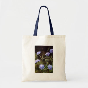 Wildblomma: Fält Scabious Tygkasse