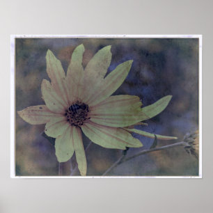 Wildblomma och Bee Poster