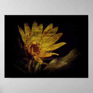 Wildblomma Poster