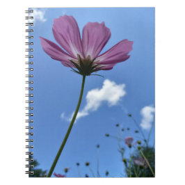 Wildblomma Stall Tall Spiral Notebook Anteckningsbok
