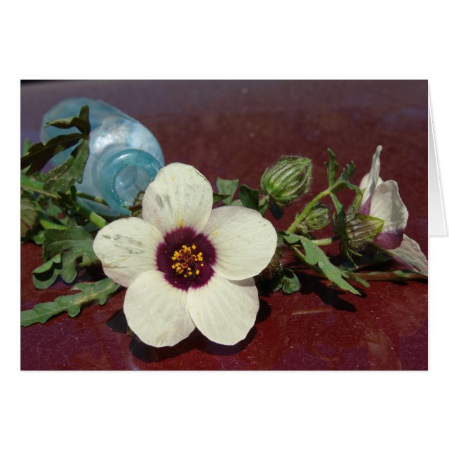 Wildblomma still Life Hälsningskort (Framsidan Horizontal)