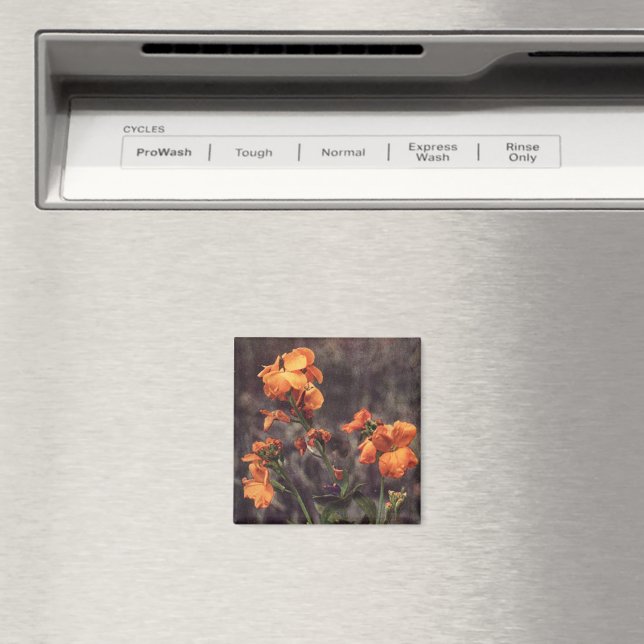 Wildblomma: Wallblomma Magnet (In Situ (Dishwasher))