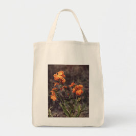 Wildblomma: Wallblomma Tygkasse