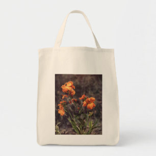 Wildblomma: Wallblomma Tygkasse