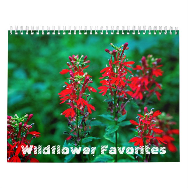Wildblommans favoriter #1 Kalender (Omslag)