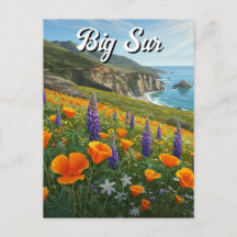 WildblommBig Sur California Travel