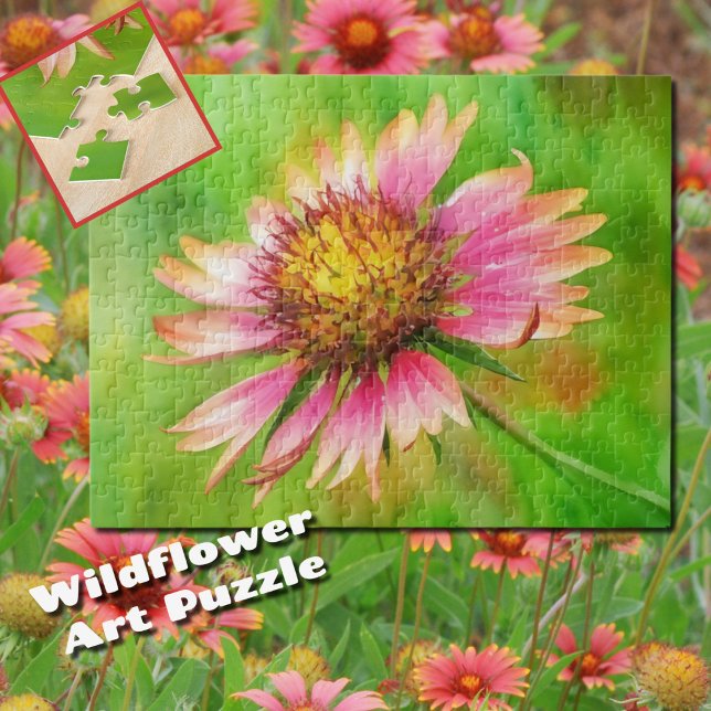 Wildblomme Indian Blanket Firejul Flower Puzzle Pussel (Wildflower Indian Blanket, Fire Wheel Flower Art Puzzle)