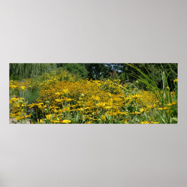 Wildblomme Meadow Panoramic Poster (Framsidan)