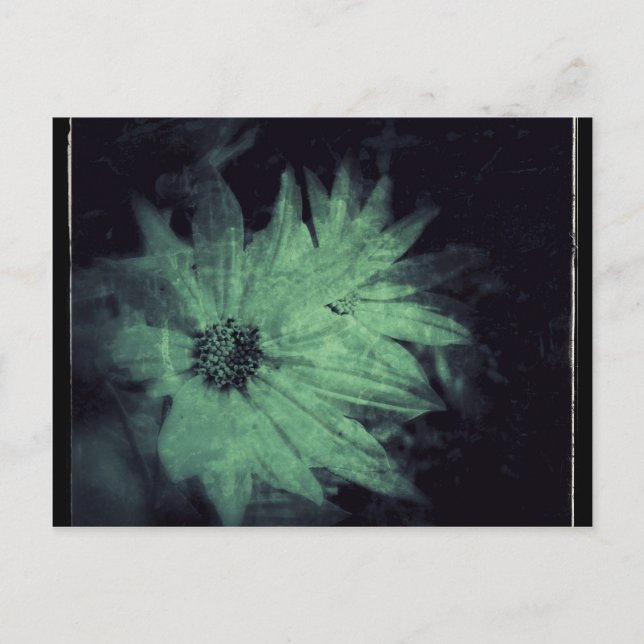 WildblommGrunge Vykort (Framsida)