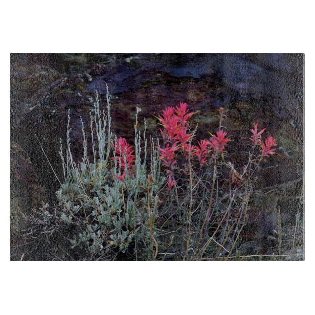 Wildblommor (Framsidan)