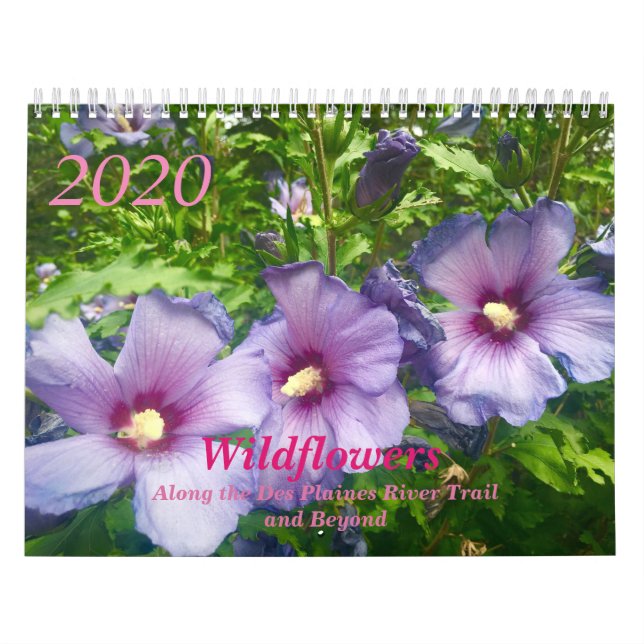 Wildblommor 2020-kalender kalender (Omslag)