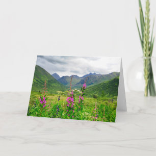 Wildblommor Alaska Valley Kort