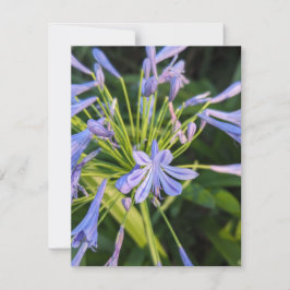 Wildblommor Anteckningskort