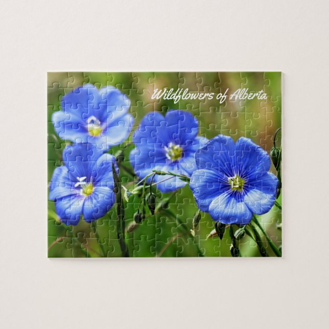 Wildblommor av Alberta, Kanada - Natur Puzzle Pussel (Horisontell)