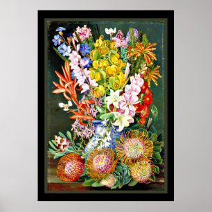 Wildblommor av Ceres, södra Afrikan Poster