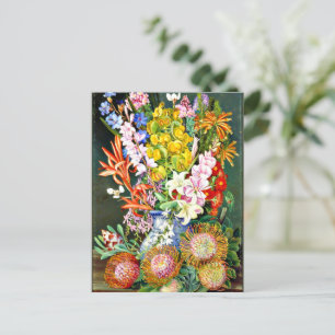 Wildblommor av Ceres, södra Afrikan Vykort