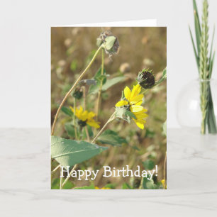 Wildblommor Birthday Kort