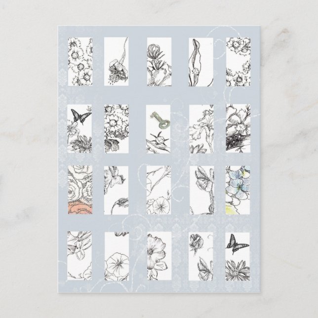 Wildblommor Black Bläck Pen Sketches Botanical Art Vykort (Framsida)