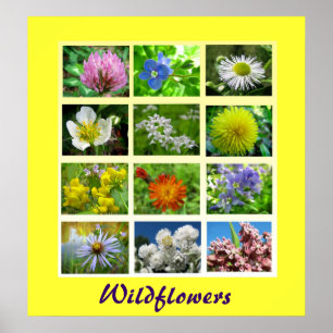 Wildblommor Blommigt Nature Poster