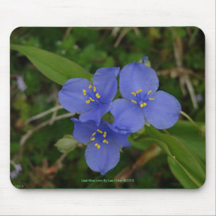 Wildblommor Blue Spiderwort Hett Vår AR Gifts Musmatta