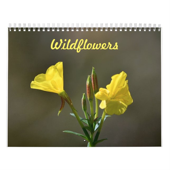 Wildblommor Calendar Kalender (Omslag)
