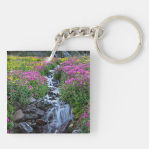 Wildblommor, Clements Mountain, Montana