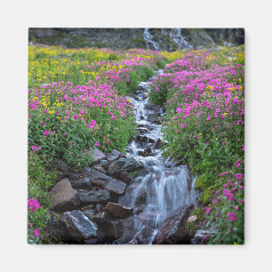 Wildblommor, Clements Mountain, Montana Magnet