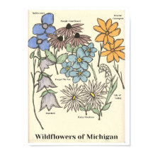 Wildblommor från Michigan Hand plockade Art Print