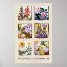 Wildblommor från Nordamerika [A] Poster