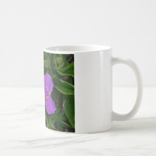 Wildblommor Fuchsia Spiderwort Hett Vår Gifts Kaffemugg