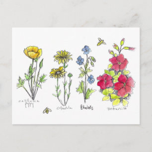 Wildblommor Garden Botanical Watercolor Art Bees Vykort